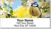 Wings of Spring Address Labels