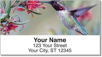 Hummingbird Address Labels