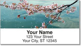 Cherry Blossom Address Labels