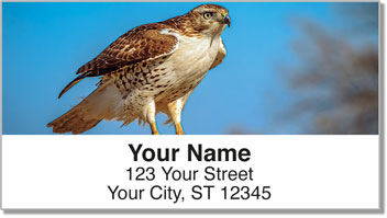 Red-Tailed Hawk Address Labels