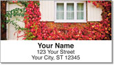 Autumn Ivy Address Labels