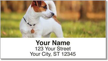 Name Tag Address Labels
