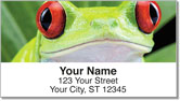 Red-Eyed Frog Address Labels