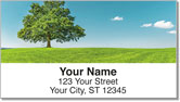 Solitary Tree Address Labels