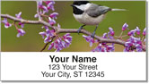 Black-Capped Chickadee Address Labels