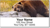 Bears of the World Address Labels