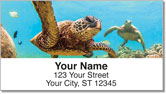Sea Turtle Address Labels