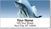 Shark Address Labels