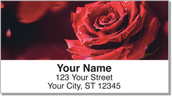 Blooming Rose Address Labels