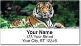 Tiger Address Labels