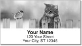 Nocturnal Kitty Address Labels