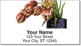 Droopy Tulip Address Labels