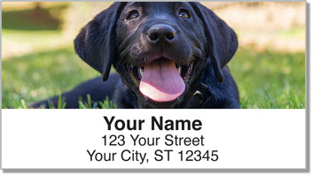 Dog Portrait Address Labels