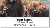 American Bison Address Labels