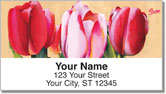 Floral Series 7 Address Labels