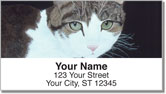 World of Cats 2 Address Labels