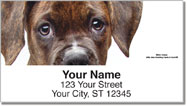 Boxer Pup Address Labels