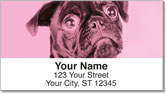 Colorful Pug Address Labels