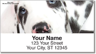 Great Dane Pup Address Labels