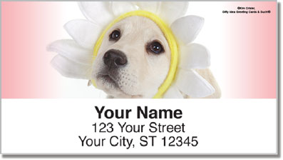 Yellow Lab Pup Address Labels