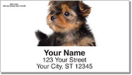 Yorkie Pup Address Labels