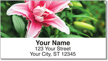 Lily Address Labels