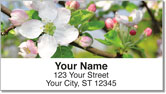 Apple Blossom Address Labels