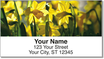 Golden Daffodil Address Labels