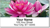 Fragrant Water Lily Address Labels