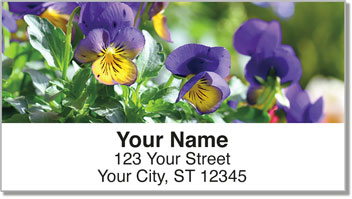 Vivid Violet Address Labels