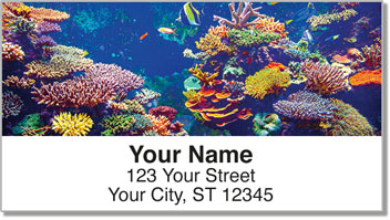 Coral Reef Address Labels