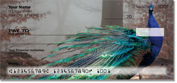Colorful Peacock Checks