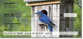 Bluebird House Checks