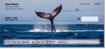 Whale  Checks