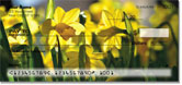 Golden Daffodil Checks