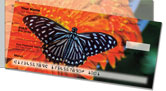 Butterfly & Moth Side Tear Checks