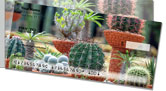 Cactus Garden Side Tear Checks