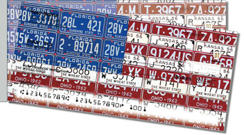 Americana License Plate Side Tear Checks