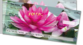 Fragrant Water Lily Side Tear Checks
